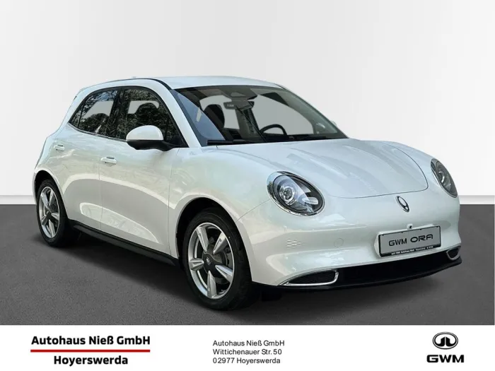 GWM 300 mit LED, 360 Grad, Stdhzg, ACC