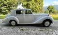 Rolls-Royce Silver Dawn im tollem Originalzustand