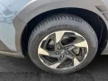 Subaru Crosstrek Platinum 4WD LED Navi SHZ ACC Leder RF