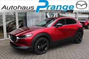 Mazda CX-30 M-Hybrid G-140 AT Homura *Sofort*Aktion* N