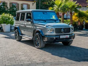 Mercedes-Benz G 450/AMG-Line/Manufaktur Classicgrau/Standhzg