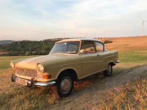 Borgward Arabella