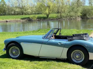 Austin Healey Andere