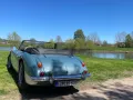 Austin Healey Andere