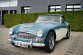 Austin Healey Andere