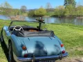 Austin Healey Andere