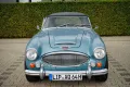 Austin Healey Andere
