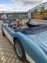 Austin Healey Andere