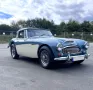 Austin Healey Andere