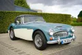 Austin Healey Andere