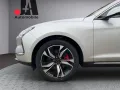 Other Seres 5 EV AWD