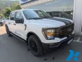 Ford F 150 XLT 3.5 Ecoboost Allrad 20'' LM-Radsatz + 