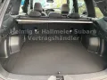 Subaru Forester Exlusive