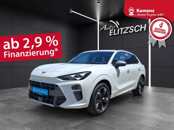 Seat Terramar eTSI Matrix Navi HUD ACC RFK SHZ 19