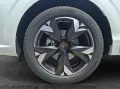 Seat Terramar eTSI Matrix Navi HUD ACC RFK SHZ 19