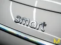 Smart #3 PREMIUM #CERAMICandBROWN#CERTIFIED #NO FEAR!