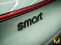 Smart #3 PRO+