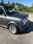 MINI 1300