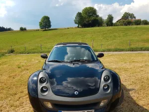 Smart Roadster Coupe Sportausstattung