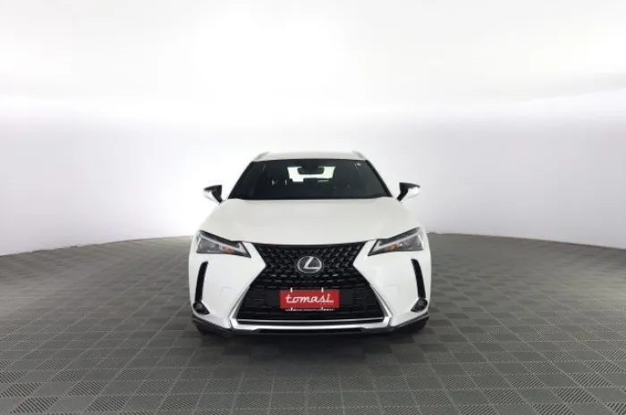 Other LEXUS Other UX UX Hybrid Urban