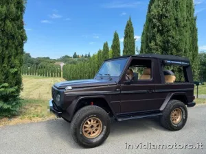 Mercedes-Benz MERCEDES-BENZ G WOLF TAILOR MADE