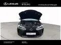 Lexus UX 300 h F-Sport Design 15 Jahre Lexus Relax Gar