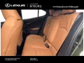 Lexus UX 300 h F-Sport Design 15 Jahre Lexus Relax Gar