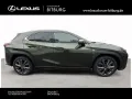 Lexus UX 300 h F-Sport Design 15 Jahre Lexus Relax Gar