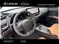 Lexus UX 300 h F-Sport Design 15 Jahre Lexus Relax Gar