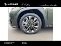 Lexus UX 300 h F-Sport Design 15 Jahre Lexus Relax Gar