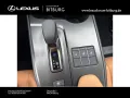Lexus UX 300 h F-Sport Design 15 Jahre Lexus Relax Gar