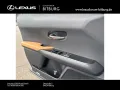 Lexus UX 300 h F-Sport Design 15 Jahre Lexus Relax Gar