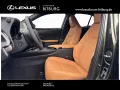 Lexus UX 300 h F-Sport Design 15 Jahre Lexus Relax Gar