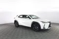 Other LEXUS Other UX UX Hybrid Urban