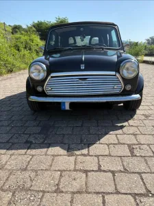 MINI 1300