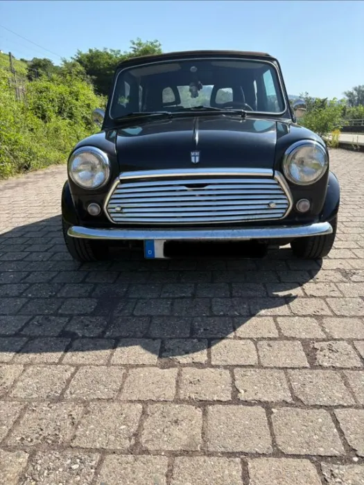 MINI 1300