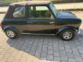 MINI 1300
