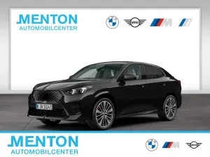 BMW iX2 eDrive 20 M Sportpaket Head-Up HK HiFi DAB