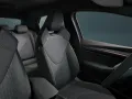 Cupra Raval Endurance Edition Dynamic Plus Plasma