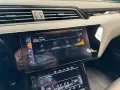 Audi Q8 e-tron 55 quattro S line Matrix-LED*Leder*22