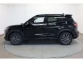 BYD ATTO 2 DM-i Boost