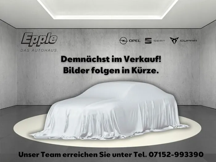 Cupra Raval Endurance Edition Dynamic Plus Plasma 155 