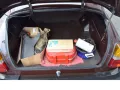 Saab 96 GL 1. Hand H-Kennzeichen