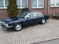 Jaguar (XJ40) Daimler 3.6 mit H-Kennzeichen