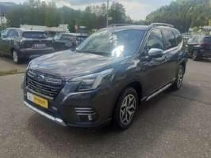 Subaru Forester Platinum
