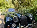 Jaguar XK 150