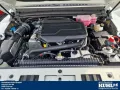 BAW 212 2.0 TCI AT 4WD Leder,Klima,Arbeitsscheinwerf