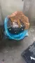Dodge Andere