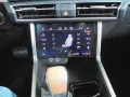 Ssangyong Torres 1.5 T-GDi 2WD Forest Edition ' Leder, 20 