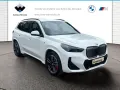 BMW iX1 xDrive30 M Sportpaket Head-Up HK HiFi DAB